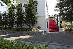 Dga-0954